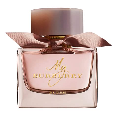 my burberry blush erfahrungen|my Burberry blush for women.